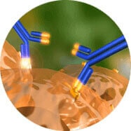 Vervalen21