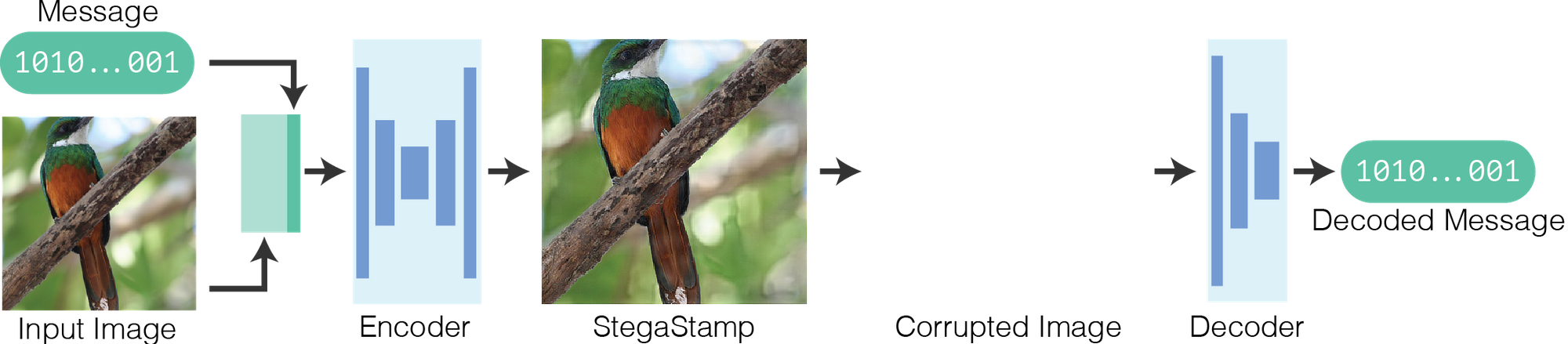 StegaStamp: Invisible Hyperlinks in Physical Photographs