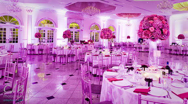 Addison Park Wedding Photographer 50 Photos Wedding Center Pieces At The Addison Park