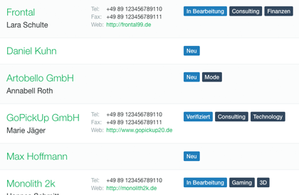 CRM Leads