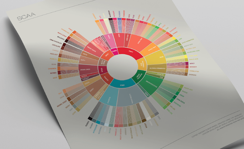 SCAA coffee flavor wheel