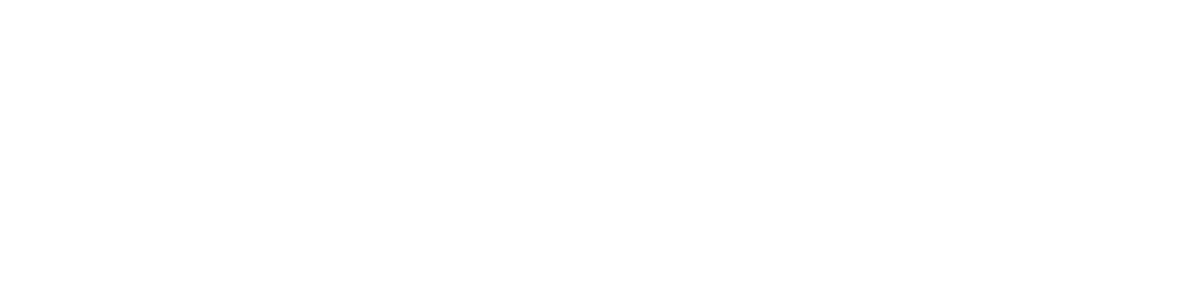 Bra Genie Logo Evolution