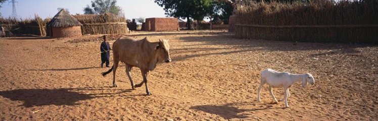 Rural poverty in Nigeria: lack of healthcare & basic infrastructure