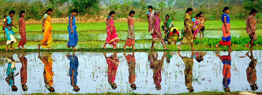 gender role of women in india