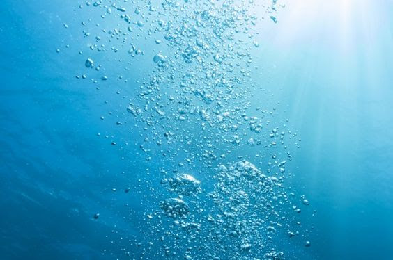 3 Companies That Went Plastic Neutral Kellee Maize Blog