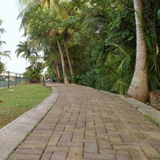 Paseo Tablado, Carolina.