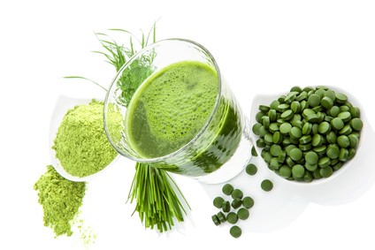 Chauffage bassin de spiruline par plancher chauffant Tradi