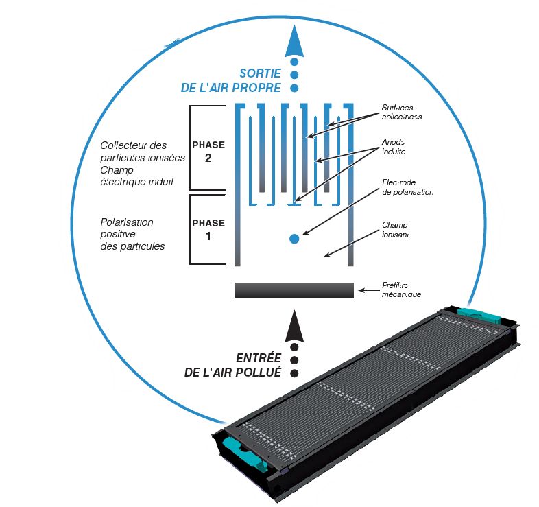 La cassette du purificateur d'air