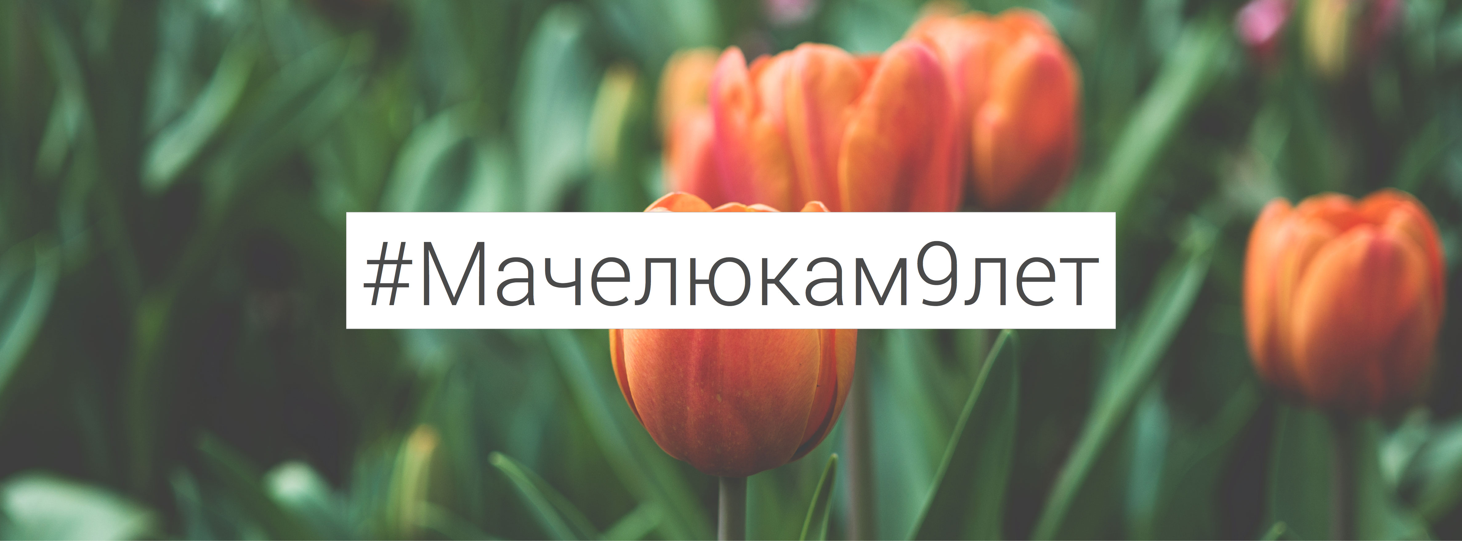 Флоранова Интернет Магазин Цветов