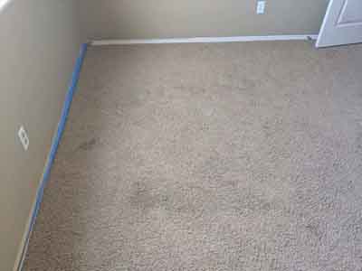 Carpet clean maricopa