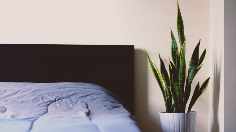 under30experiences-group-travel-blog-for-millennials-how-to-become-a-morning-person-sleep