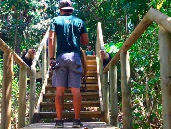under30experiences-group-travel-blog-for-millennials-why-we-stopped-going-to-manuel-antonio-national-park-aggressive-monkeys