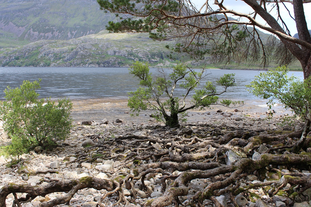 loch-ness