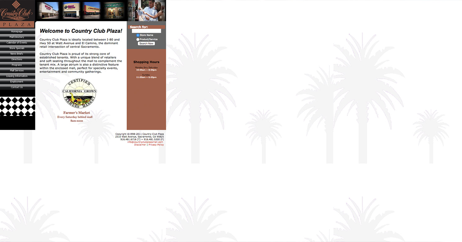 Non-Responsive Website Design