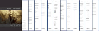 A business valaution report