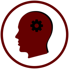 Knowledge Vector