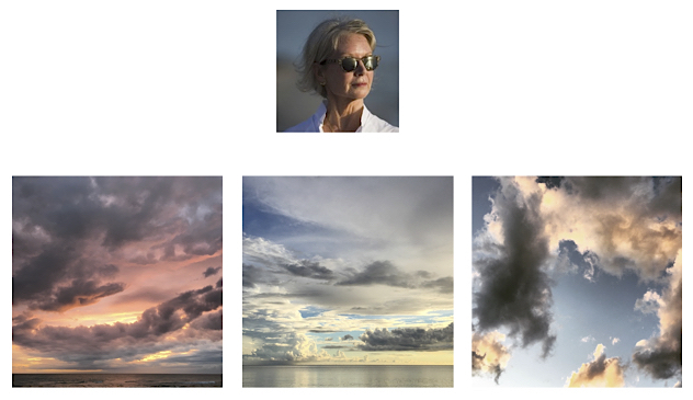 http://gardnercolbygallery.com/our-artists/susan-f-castle