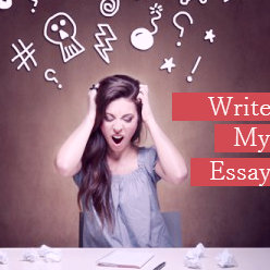 I can't wrote my essa :( - pay for essay :)