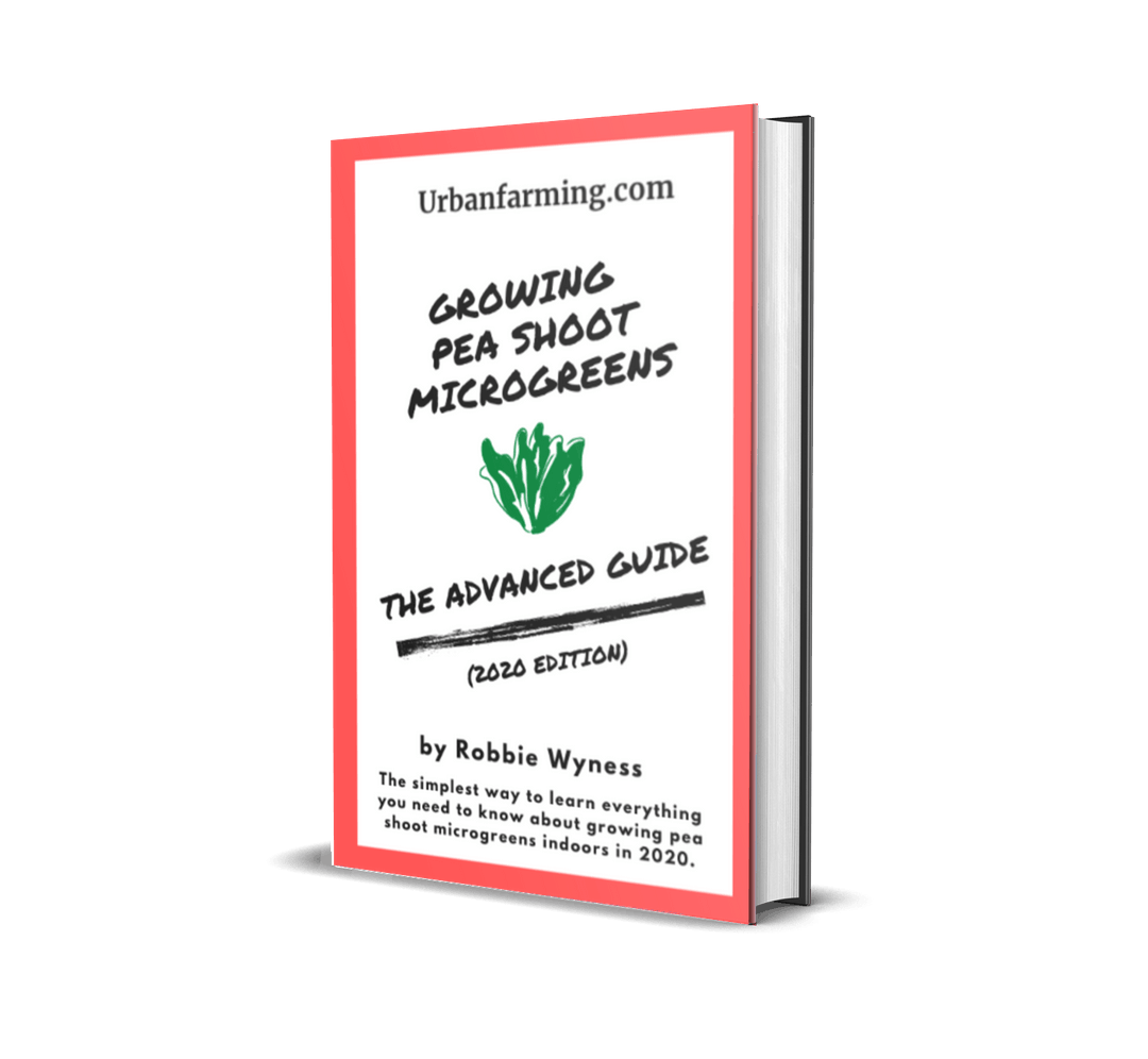 What Is A Growing Medium? (A Quick & Simple Guide)