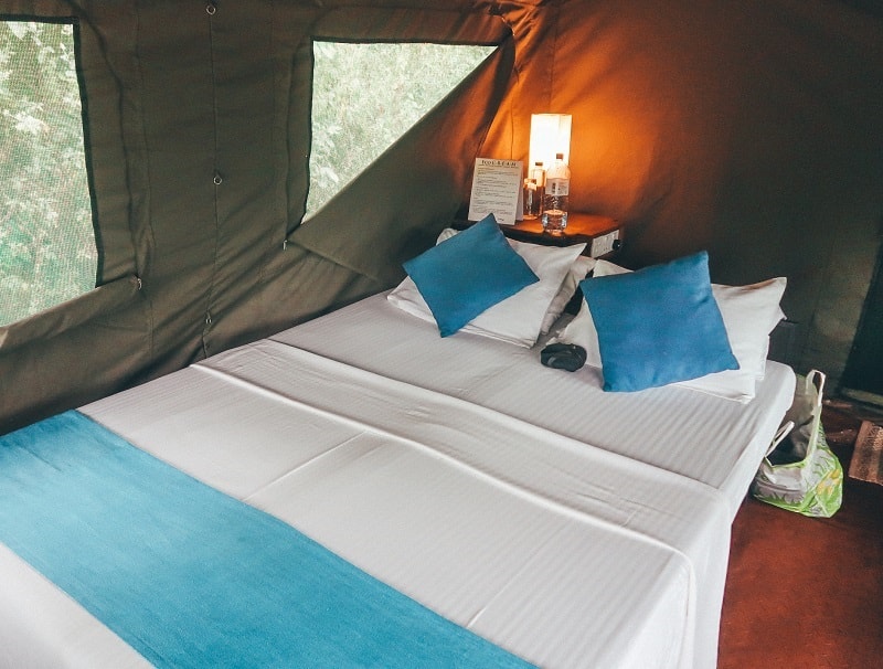 wilpattu national park safari tent