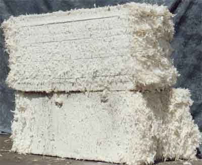 Bleached Coffee Filter