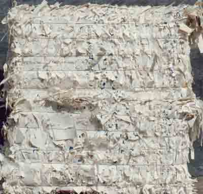 Unprinted Bleached Sulfate Kraft