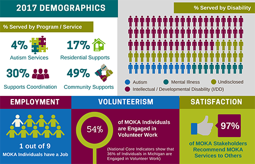 Download a larger image of the 2017 Demographics infographic