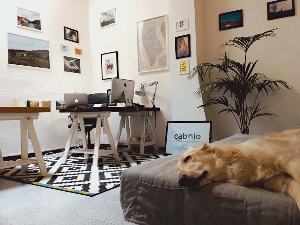 Lo studio di Bologna di Cabolo
