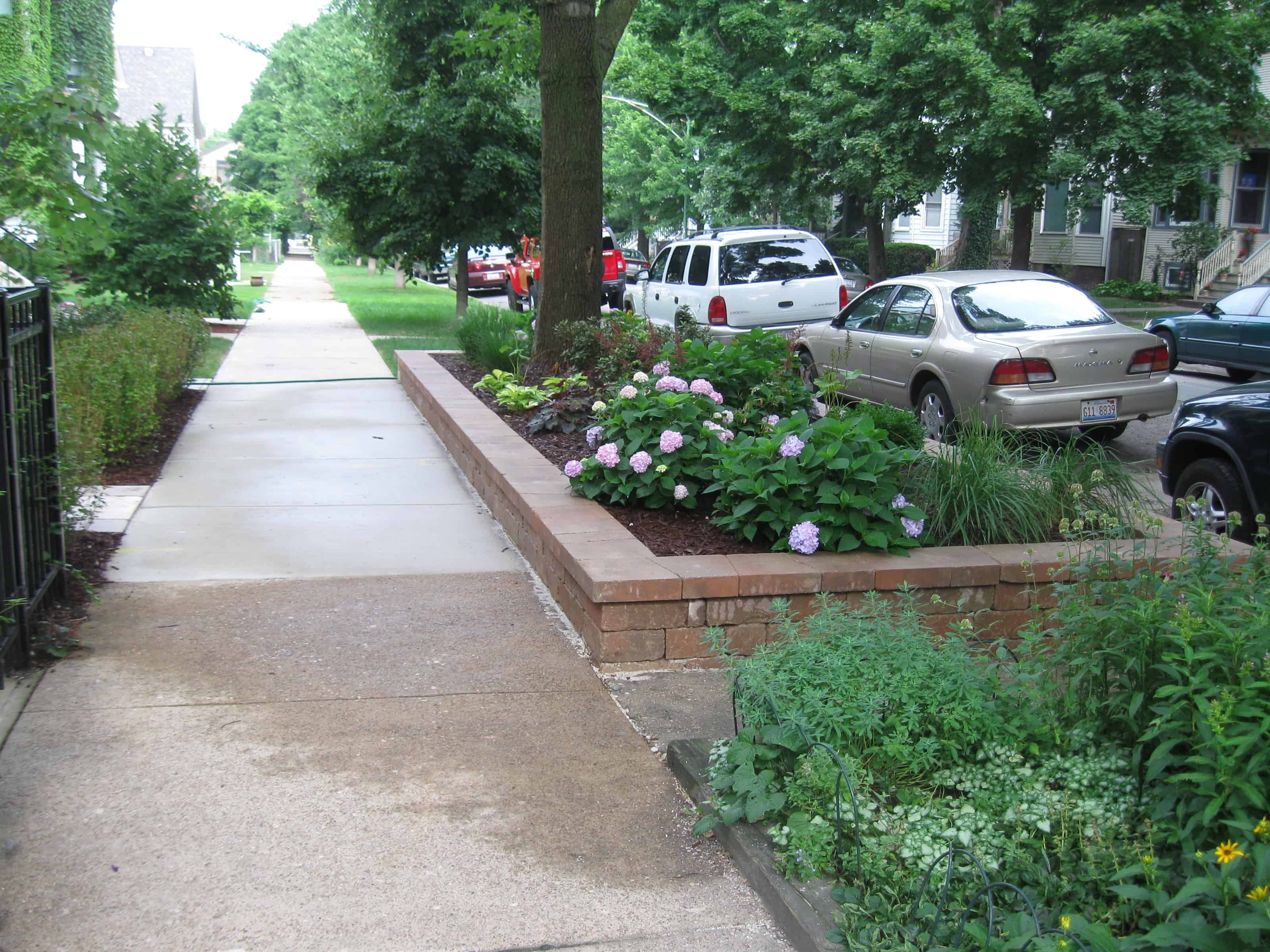 Chicago Landscaping and Snow Removal Services Patch