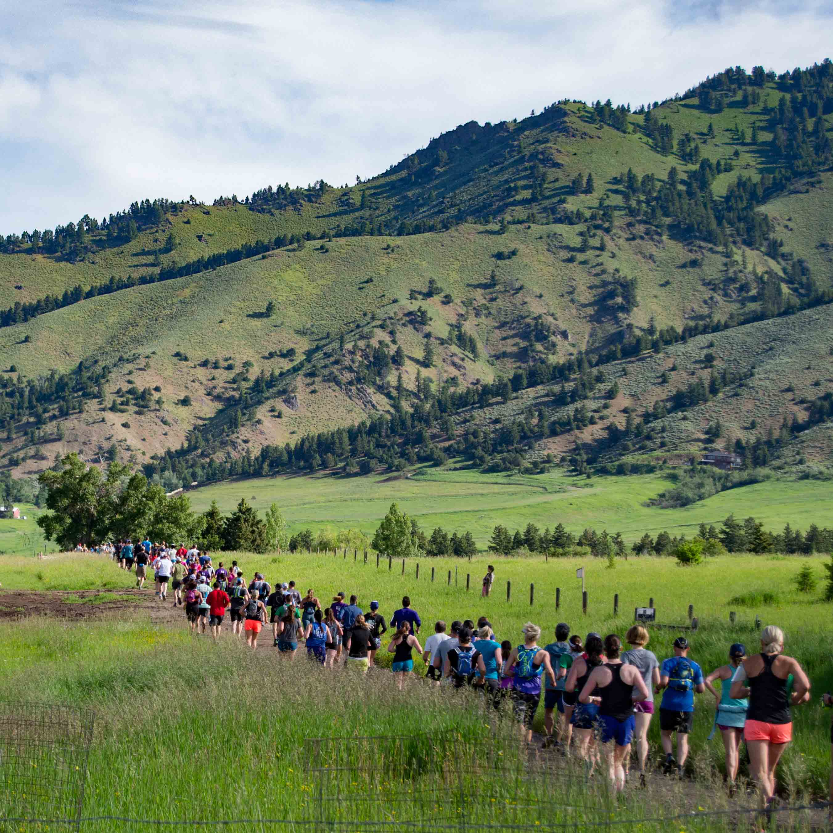 Bridger Ski Foundation