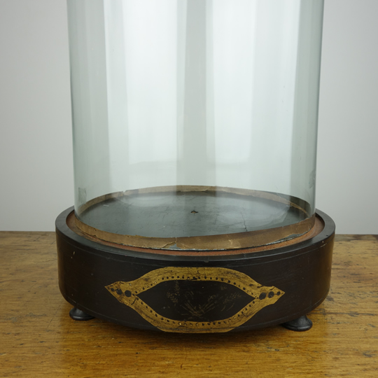 Antique glass dome F, Vintage and Antique Back & Forth