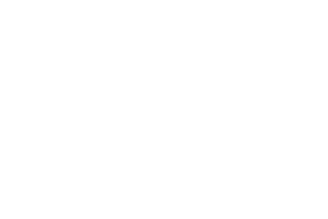 Wohnungsbau-Genossenschaft Wittenberg Geschäftsbericht