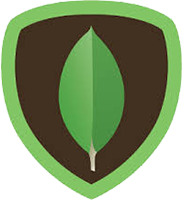 MongoDB