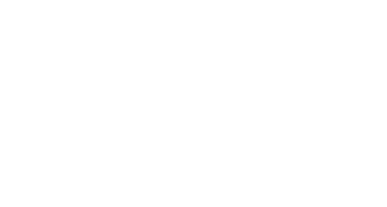 Vidlers logo new