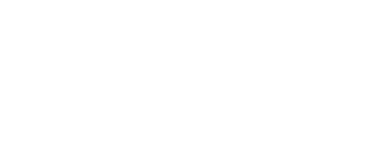 Лого EasyWeb