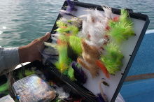 A saltwater fly box loaded with flies