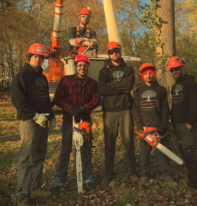 Princeton Tree Care - Premier Tree Service & Removal