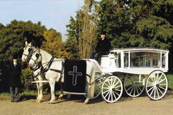 Photo of alternative funeral vehicles