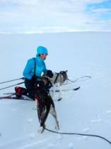 Skis, sleds and huskies - happy holidays!
