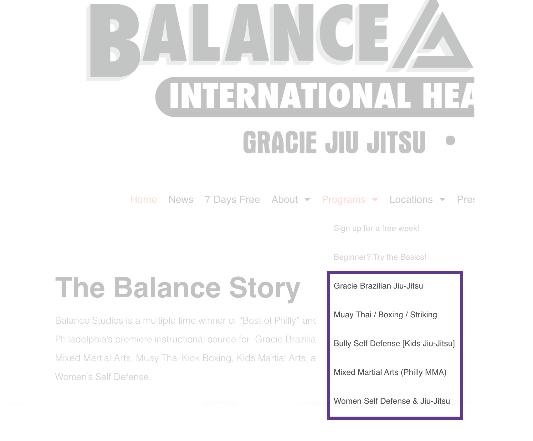 An example of membership programs at Balance Studios, a Philadelphia-based Martial Arts studio.