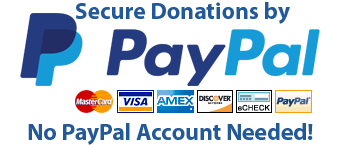 Secure Donations by PayPal Logo Image