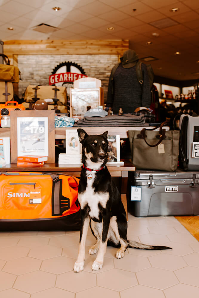 At Gearhead Outfitters you can expect to see top-performing brands like Patagonia, Balega, Birkenstock, Hoka, Filson, Barbour, Yeti, Prana, Danner, Brooks, and Kühl to help you with running, hiking, skiing, and other outdoor activities. (Photo: Sarah Eliza Roberts)