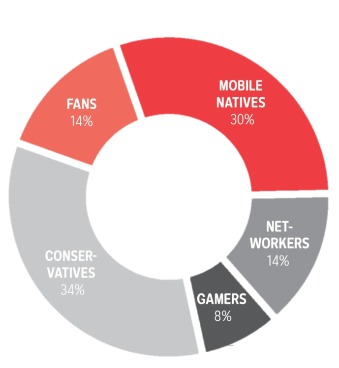 Online User Behavior, Online-Nutzertypen