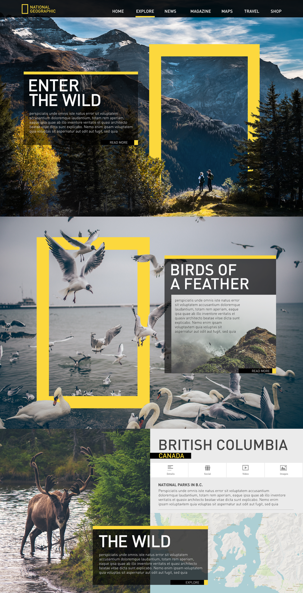 Concept for National Geographic site using rule of thirds