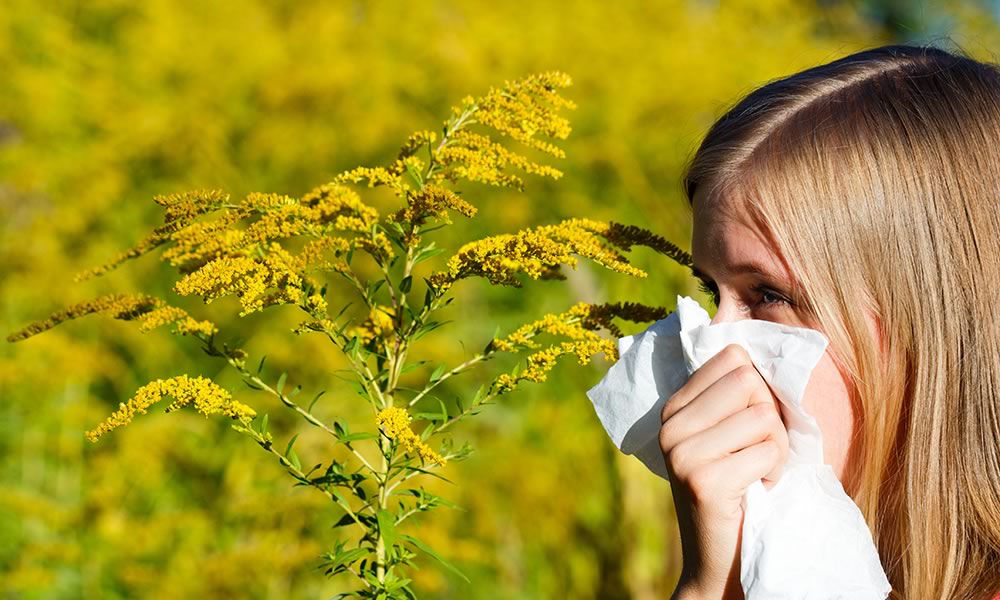 Child sneezing from ragweed allergy