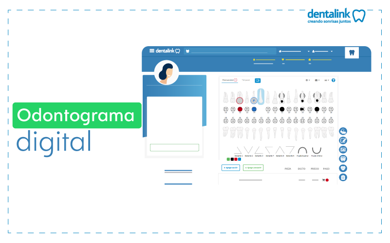 odontograma software odontologia dentalink