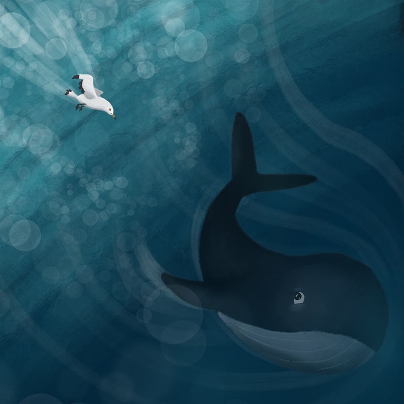 L'Oiseau et la Baleine The Bird and The Whale (with audio)