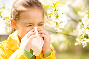 Pollen Allergies