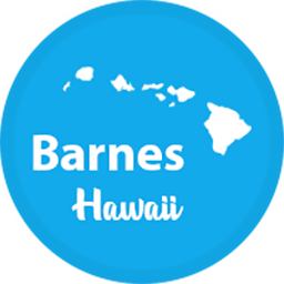 top 100 realtor hawaii