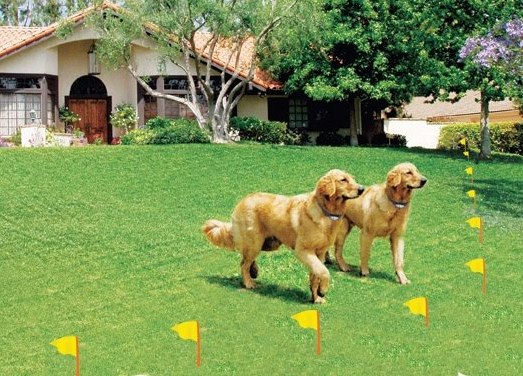 Invisible Fence for Pets